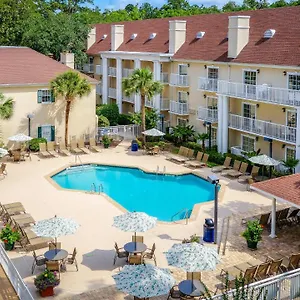 Palmera And Hilton Head Island